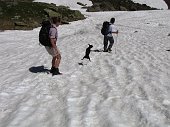 Salita al Laghetto di Pietra Quadra (2100 m. circa ) e al nuovo Rifugio Tre Pizzi-Pietra Quadra (2012 m) - FOTOGALLERY